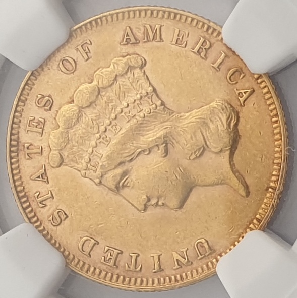 USA - 3 Dollars 1878 (AU 58), Indian Princess Head